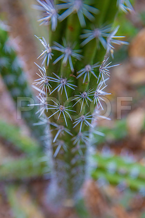 1W6A0057.jpg